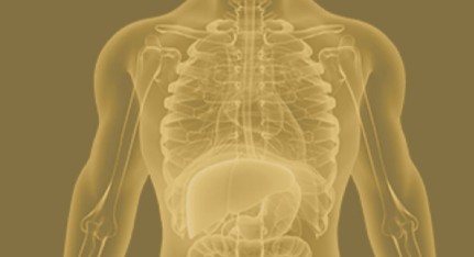 Clinical optimization and cleansing