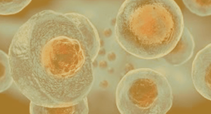 Cellular regeneration and activation