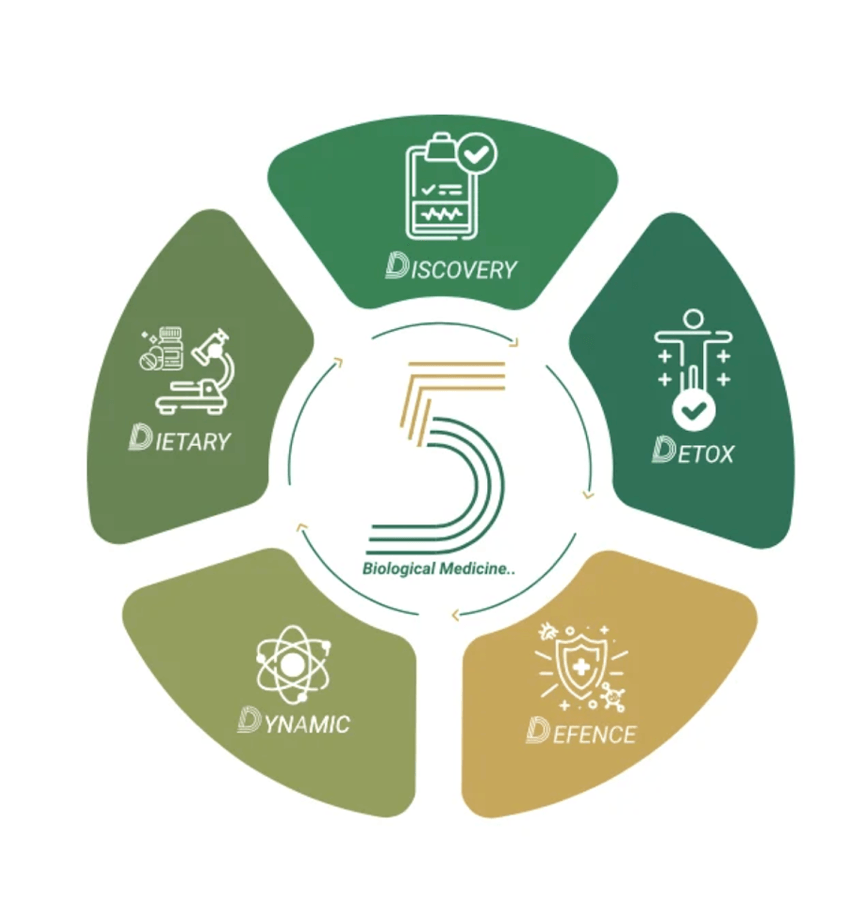 5D regenerative medical model visualization