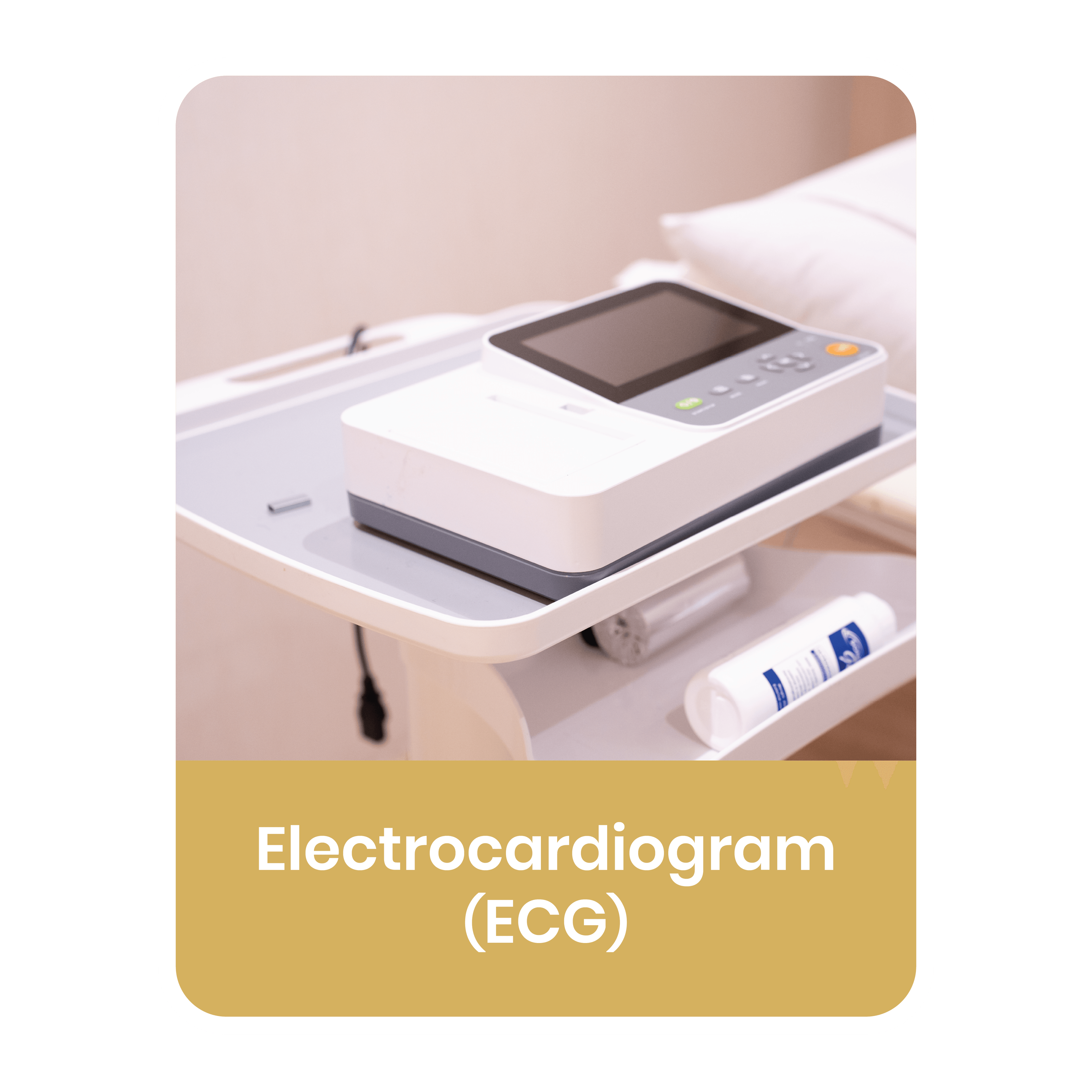 ECG Analysis