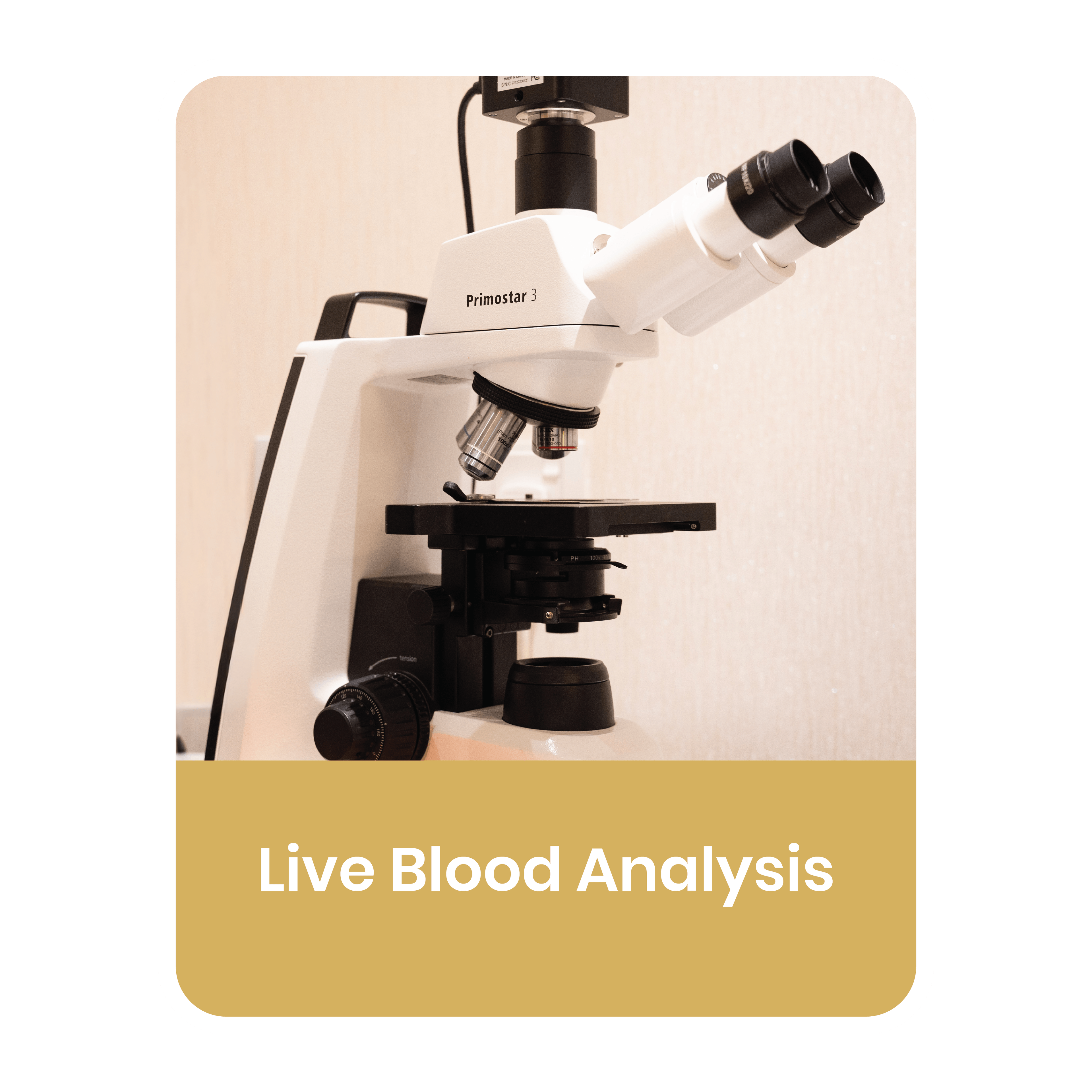 Live Blood Analysis