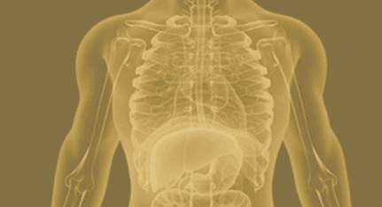 Clinical optimization and cleansing