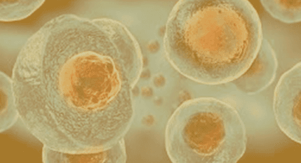Cellular regeneration and activation