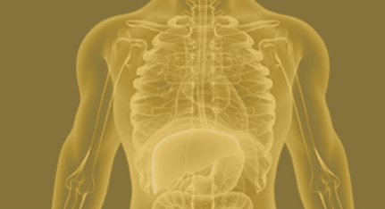 Clinical optimization and cleansing