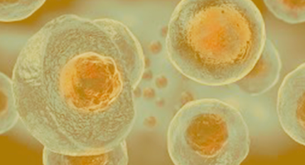 Cellular regeneration and activation