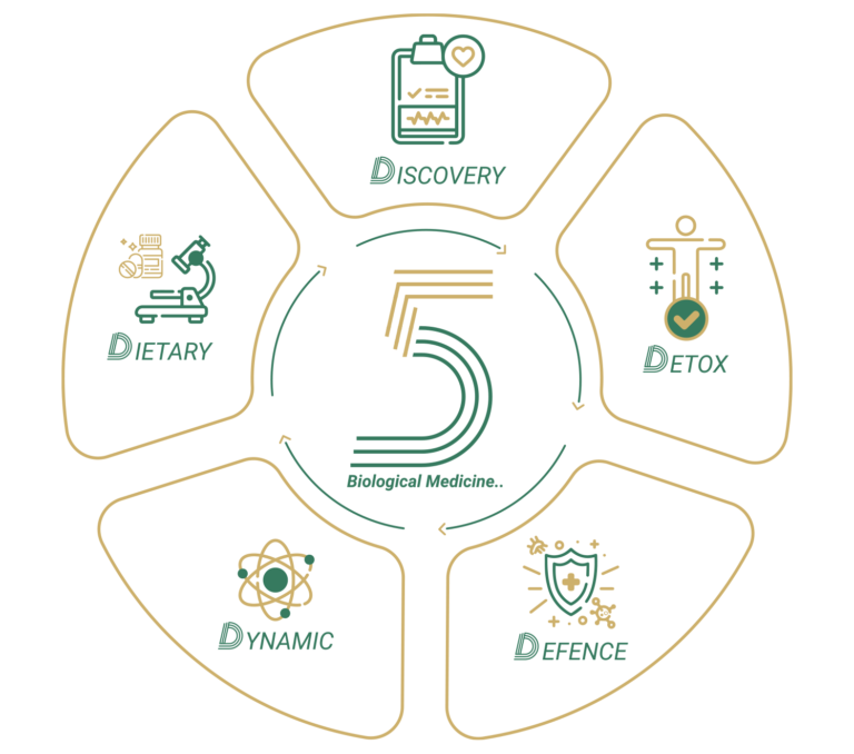 5D regenerative medical model visualization